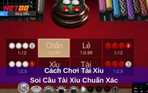 Cách chơi tài xỉu từ A đến Z Hướng dẫn mẹo chơi hiệu quả và soi cầu chuẩn xác